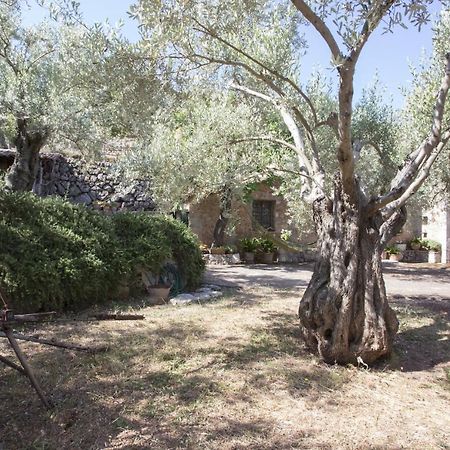 Villa Es Coco, Soller Puerto de Sóller 外观 照片