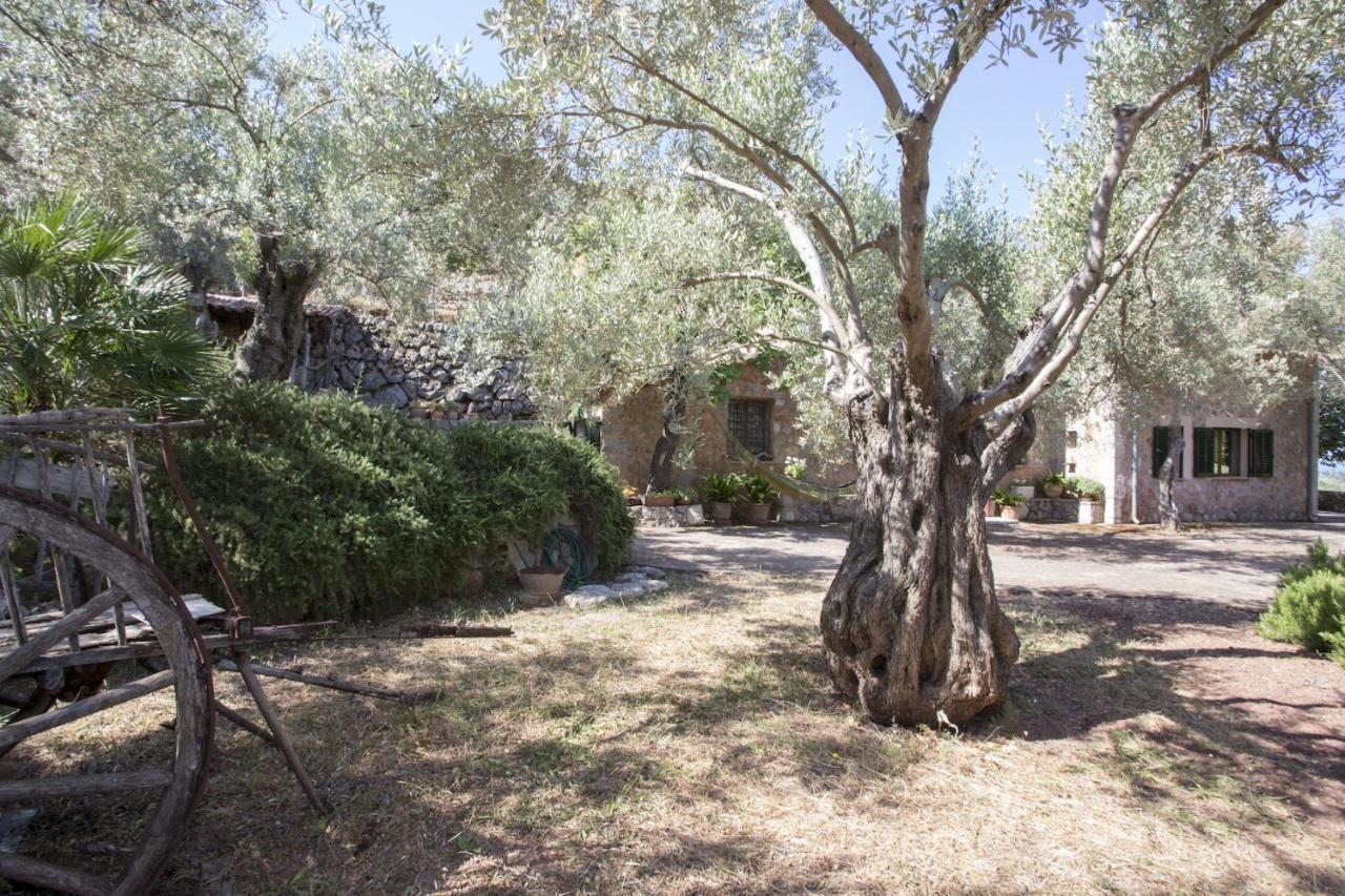 Villa Es Coco, Soller Puerto de Sóller 外观 照片