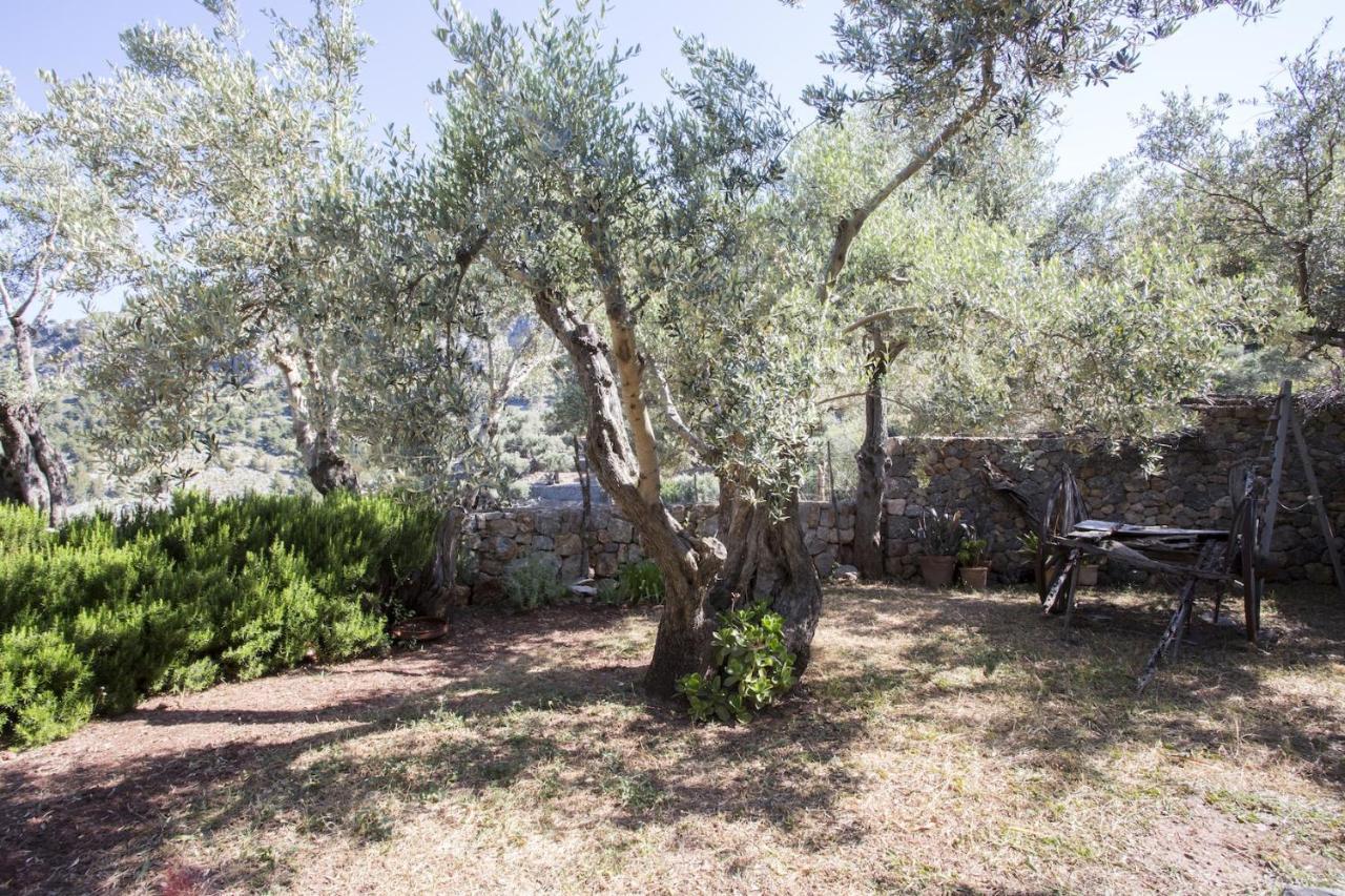 Villa Es Coco, Soller Puerto de Sóller 外观 照片
